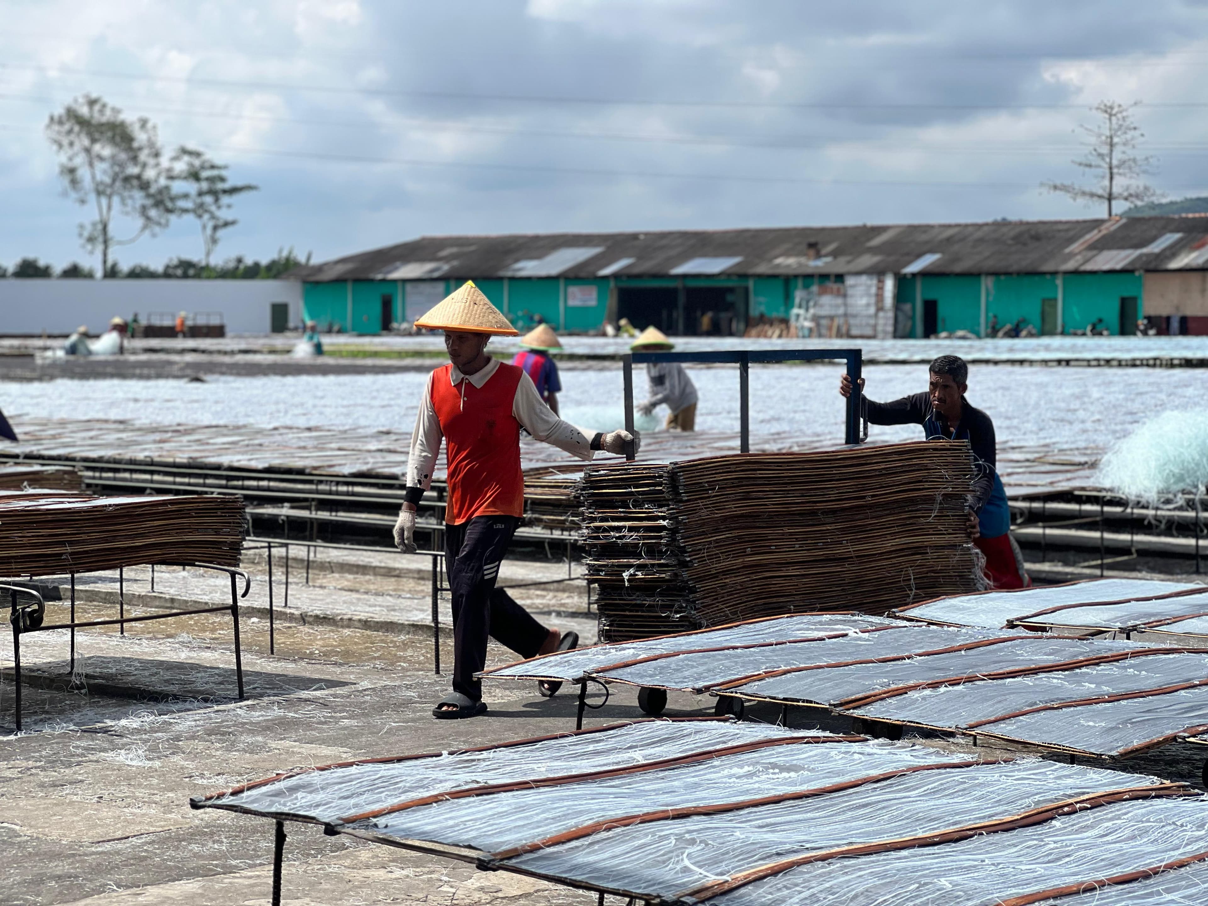 Pembentukan & Pengeringan